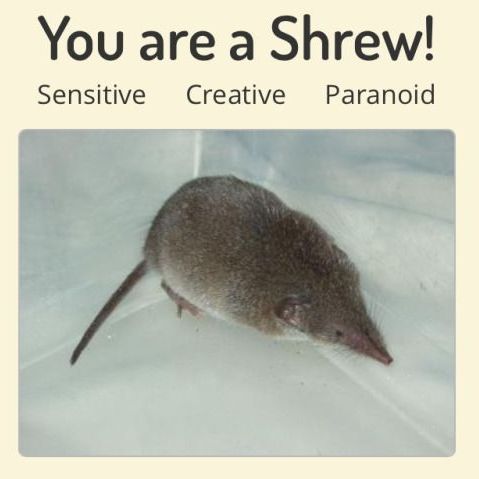 you are a shrew!